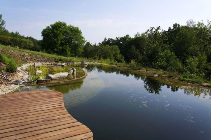 Agadir: Atlas Mountains Trip & Swimming in Paradise Valley - Botanical Gardens and Pools