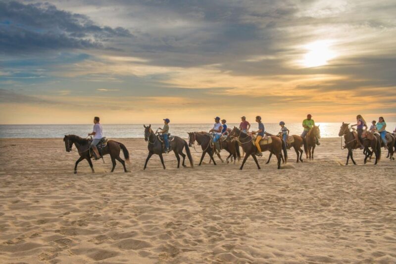 Agadir: Beach and Ranch Horse Riding Tour - Activity Highlights