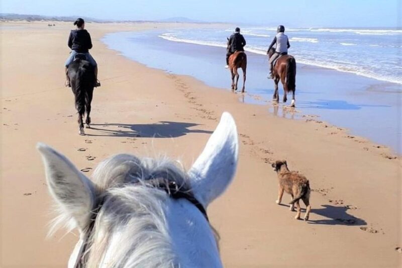 Agadir: Beach Sunset Horse Riding Tour With Transfer - Participant Information