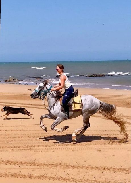 Agadir: Beach Sunset Horse Riding Tour With Transfer - Frequently Asked Questions