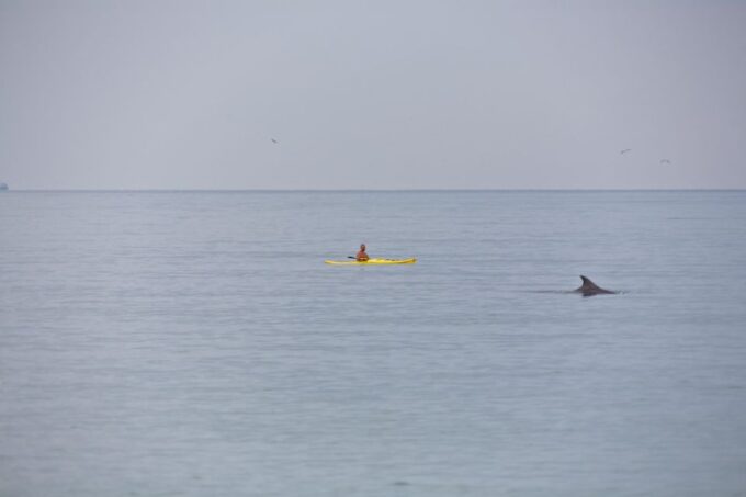 Agadir Boat Trip Fishing & Swimming Adventure - Departure and Duration