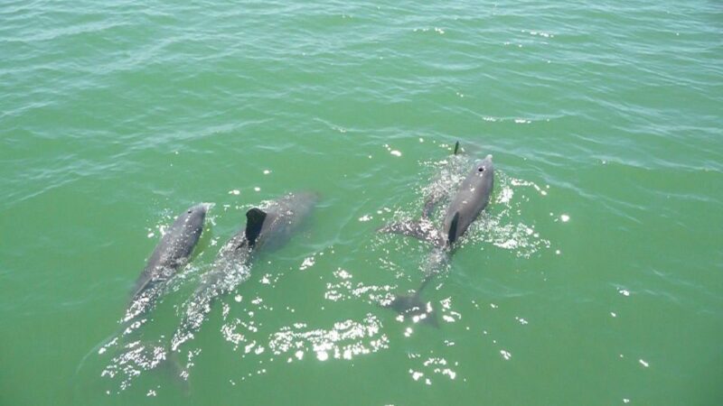 Agadir Boat Trip Fishing & Swimming Adventure - Relaxation on Pleasure Boat