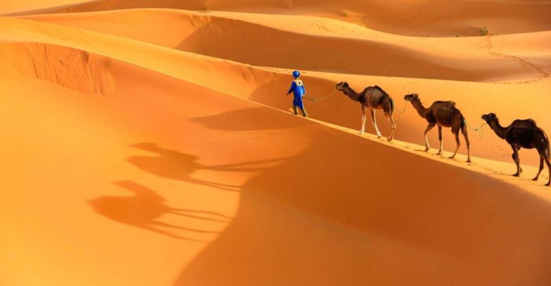 Agadir: Camel Ride and Flamingo Trek With Mint Tea - Ride Details