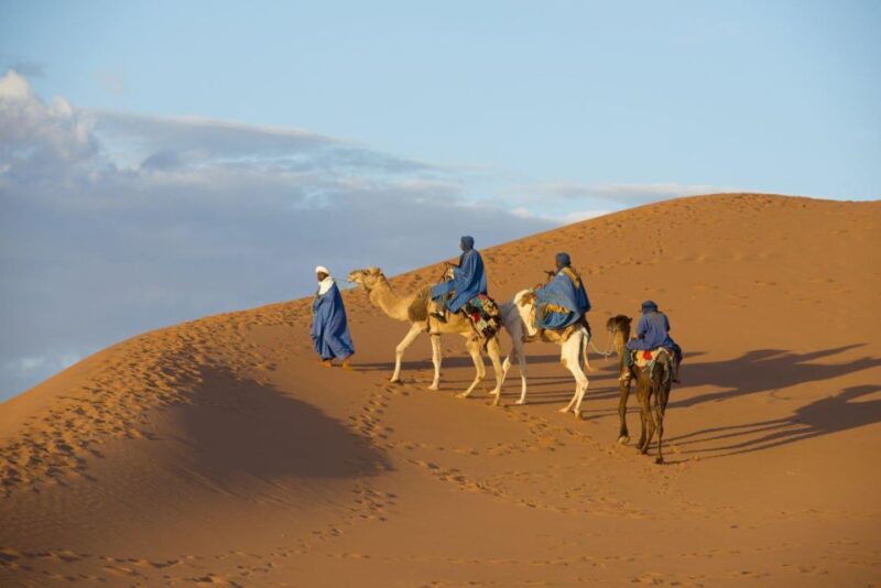 Agadir: Camel Ride and Flamingo Trek With Mint Tea - Customer Feedback