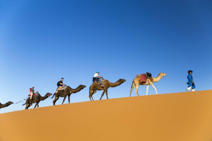 Agadir: Camel Ride and Flamingo Trek With Mint Tea - Frequently Asked Questions