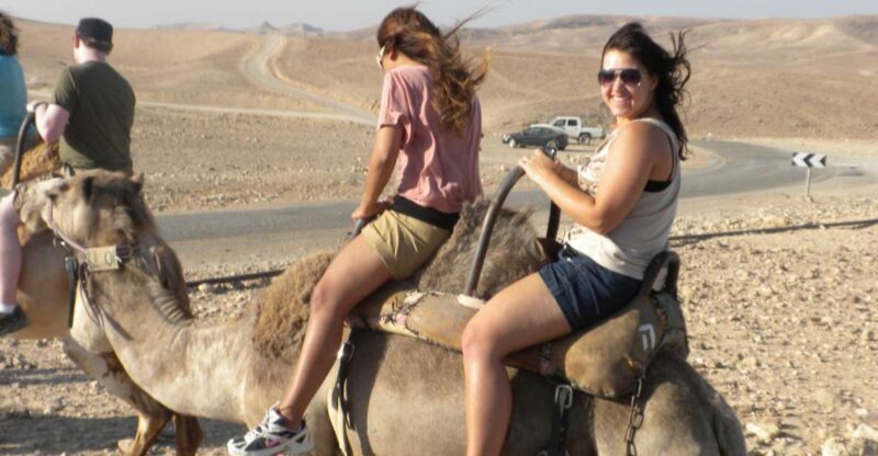 Agadir Camel Ride Flamingo River & BBQ Dinner - Key Points