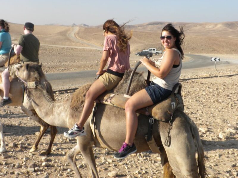 Agadir Camel Ride Flamingo River & BBQ Dinner - Experience Highlights