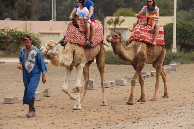 Agadir Camel Ride Flamingo River & BBQ Dinner - Booking Information