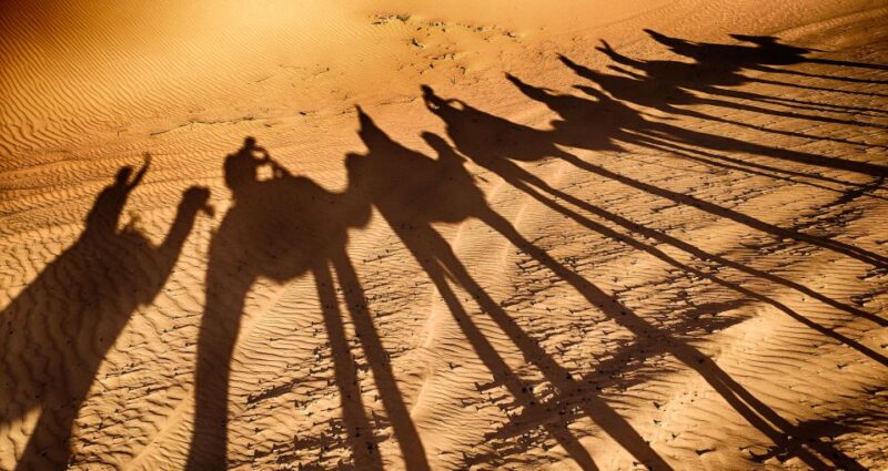 Agadir: Camel Ride Tour With Tea and Dinner Option - Tour Experience and Highlights