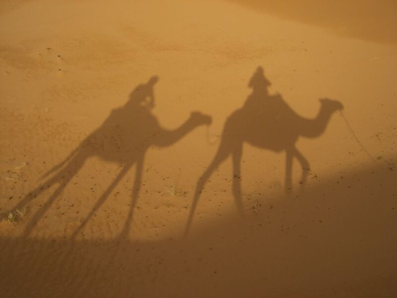Agadir: Camel Ride Tour With Tea and Dinner Option - Tour Inclusions