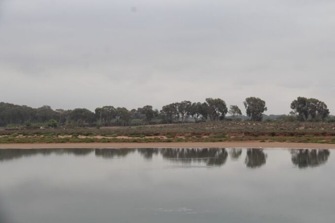Agadir: Camel Ride Tour With Tea and Dinner Option - Frequently Asked Questions