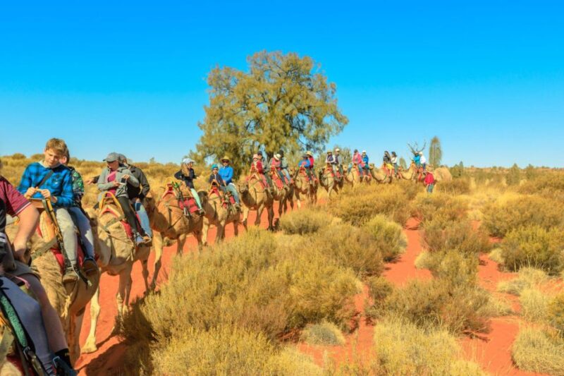 Agadir: Camel Ride With Tea & BBQ Dinner Option - Scenic Highlights