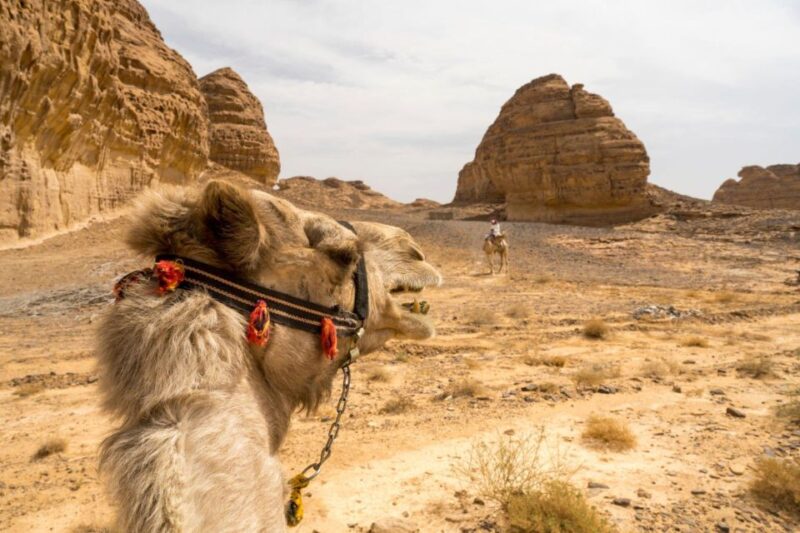 Agadir: Camel Ride With Tea & BBQ Dinner Option - Booking Information