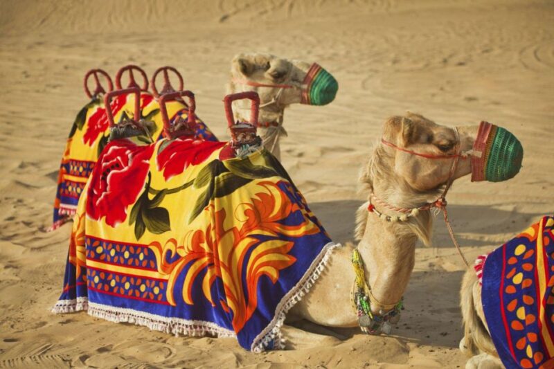 Agadir: Camel Ride With Tea & BBQ Dinner Option - Camel Ride Basics