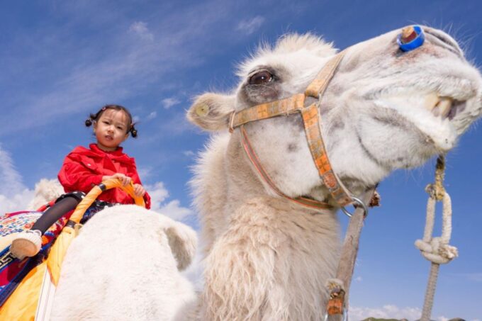 Agadir: Camel Ride With Tea & BBQ Dinner Option - Sunset Camel Ride