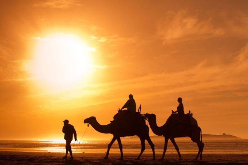 Agadir: Camel Ride With Tea & BBQ Dinner Option - Key Points