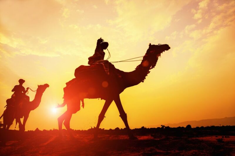 Agadir: Camel Ride With Tea & BBQ Dinner Option - Camel Ride Experience