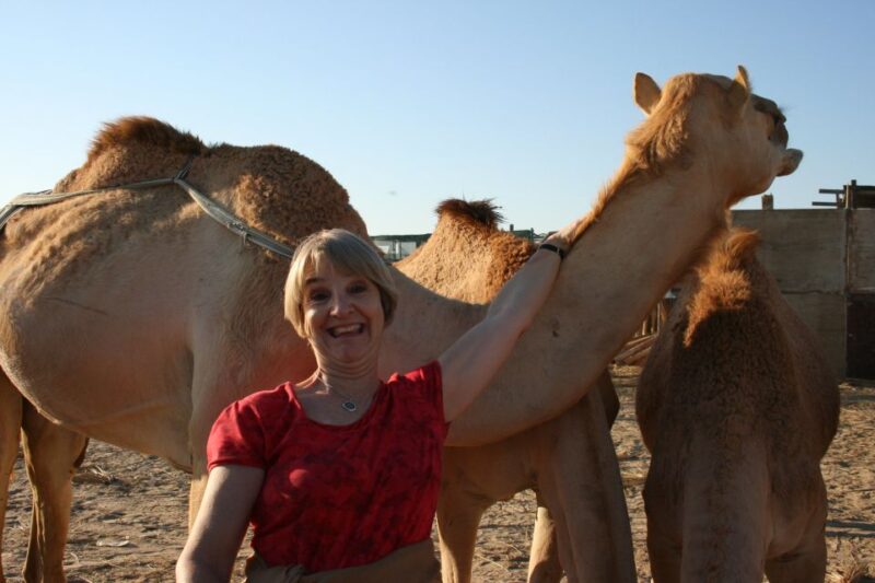 Agadir: Camel Ride With Tea in Falamingos River - Key Points