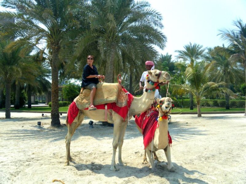 Agadir: Camel Ride With Tea in Falamingos River - Moroccan Mint Tea and Snacks