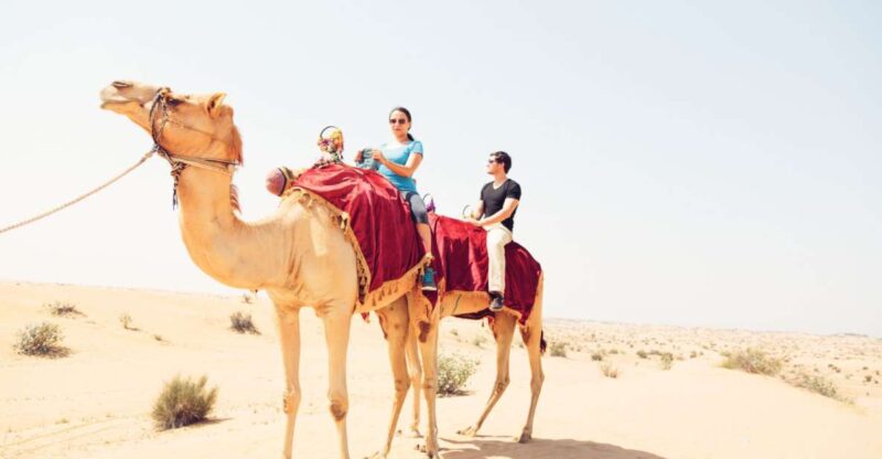 Agadir: Camel Ride With Tea - Experience Highlights
