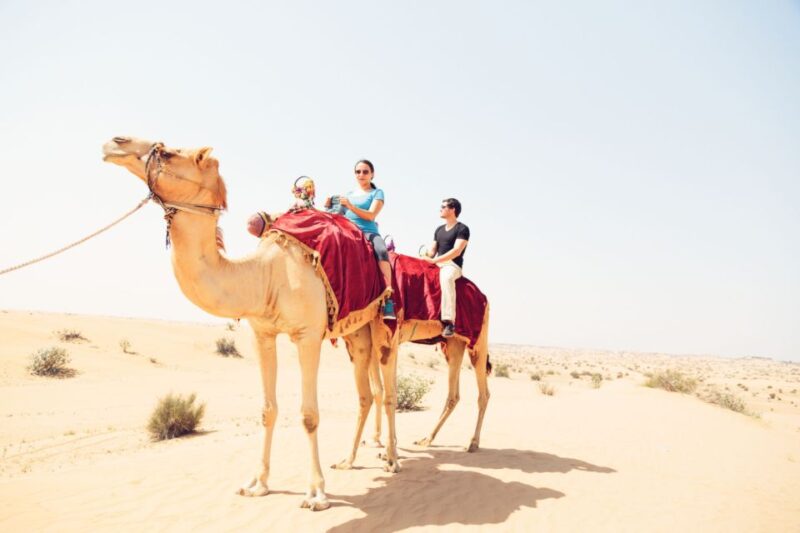 Agadir: Camel Ride With Tea - Itinerary Details