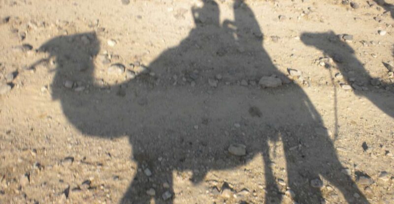 Agadir: Camel Riding Adventure With Authentic Moroccan Lunch - Key Points