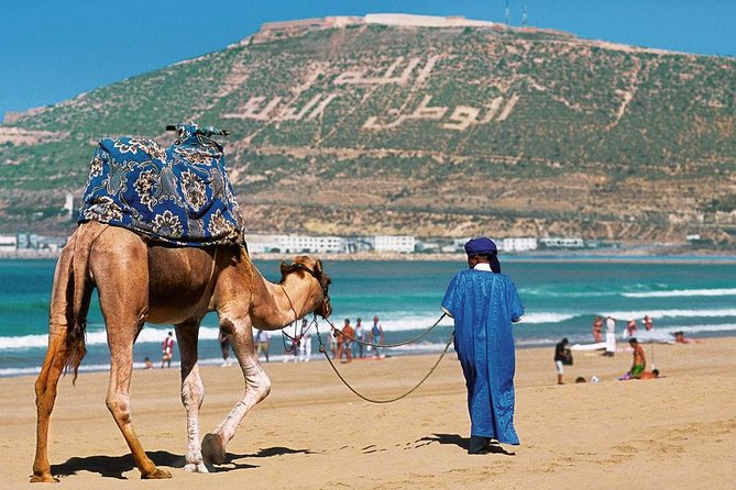 Agadir City Discovery in 3 Hours With Pick up and Drop off - Traveler Feedback
