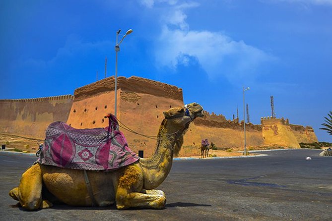 Agadir City Tour - Traveler Reviews