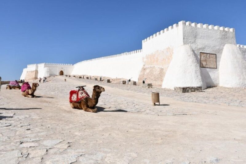 Agadir City Tour Guided & Sunset Camel Ride & BBQ Dinner - Activity Highlights