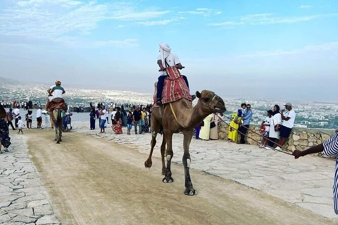 Agadir City Tour With Big Souk Elhad - Pricing and Cancellation Policy