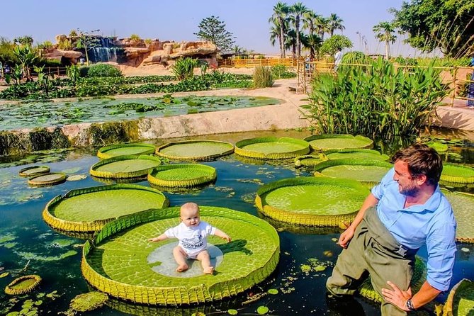 Agadir Croco Park Transfer & Admission Ticket - Overview of Agadir Croco Park