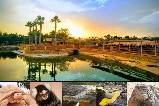 Agadir Croco Park Transfer & Admission Ticket - Reviews and Rating