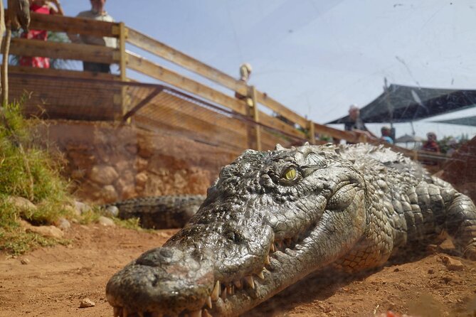 Agadir Crocodile Park Adventure - Responses to Negative Feedback