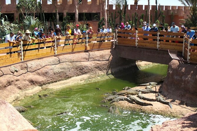 Agadir Crocodile Park Adventure - Planning Your Crocodile Park Adventure