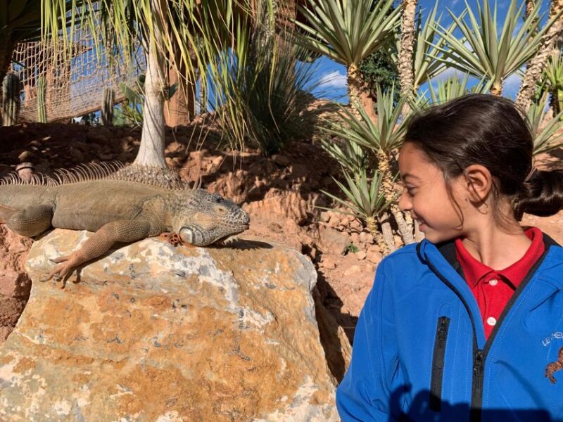 Agadir: Crocoparc Skip-the-Line Entry Ticket - Wildlife and Gardens