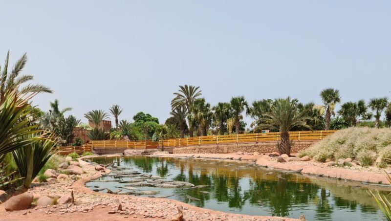 Agadir: Crocoparc Skip-the-Line Entry Ticket - Transportation and Meeting Point
