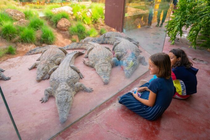 Agadir: Crocoparc Skip-the-Line Entry Ticket - Accessibility and Cancellation
