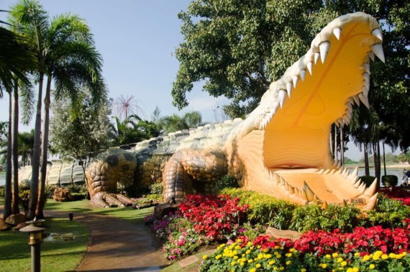 Agadir Crocoparc: Ticket and Transfer - Highlights of the Experience