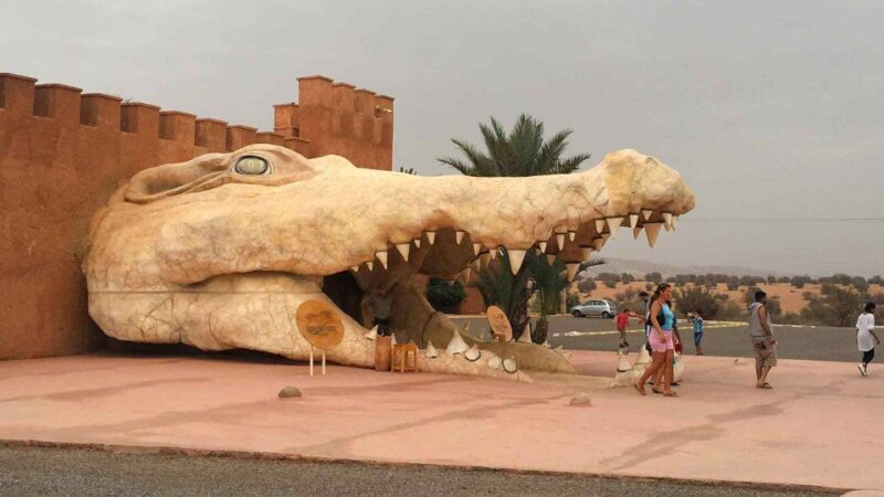 Agadir Crocoparc: Ticket and Transfer - Key Points