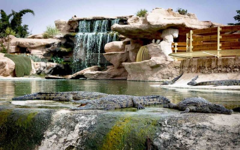 Agadir Crocoparc: Ticket and Transfer - Unique Botanical Attractions