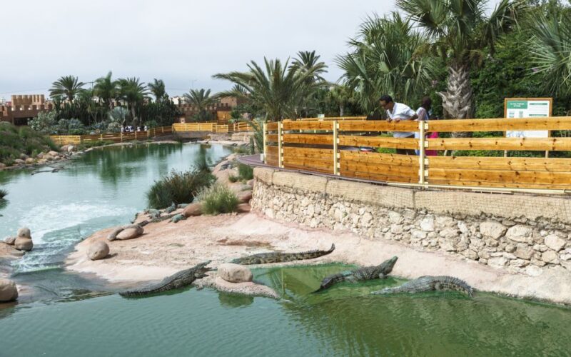 Agadir Crocoparc: Ticket and Transfer - Customer Ratings and Feedback