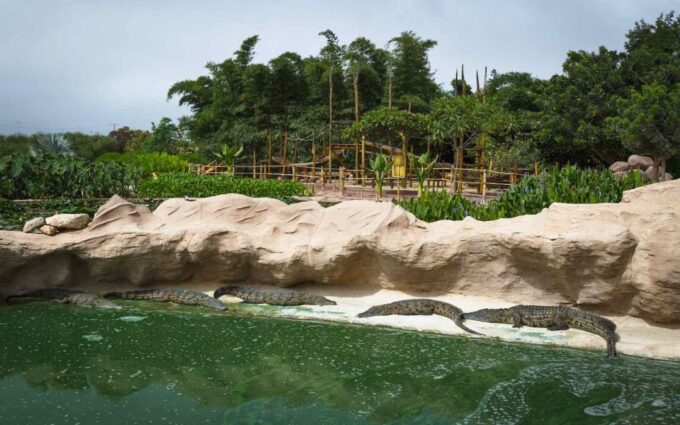 Agadir Crocoparc: Ticket and Transfer - Meals and Refreshments