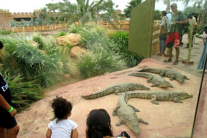 Agadir Crocoparc With Transfer & Admission Ticket - Souvenir Photos and Videos
