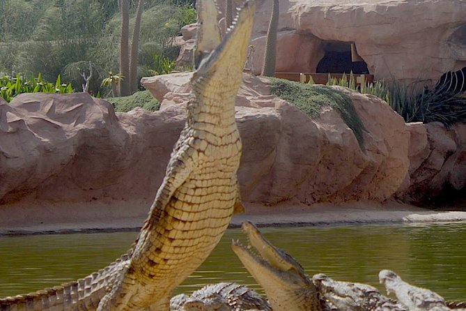 Agadir Crocoparc With Transfer & Admission Ticket - Confirmation and Accessibility