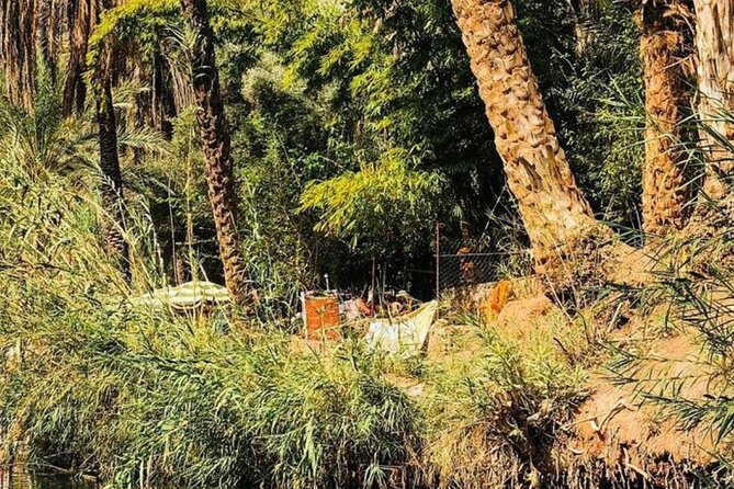 Agadir Day Trip to Paradis Valley & Atlas Mantains With Lunch - Savoring the Moroccan Lunch