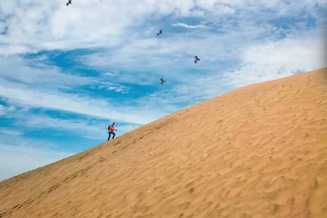 Agadir Desert Safari Day Tour With Lunch - Pickup Details