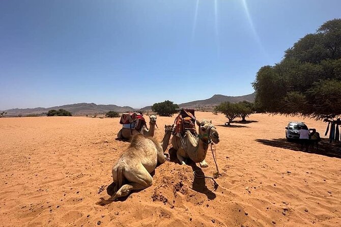 Agadir Desert Safari Day Tour With Lunch - Accessibility Considerations