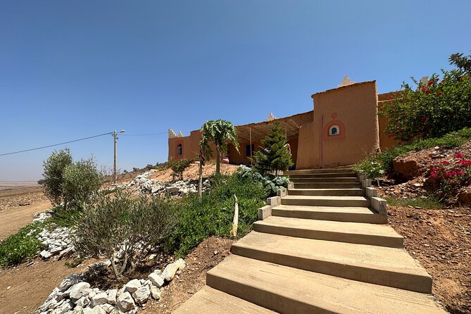Agadir Desert Safari Day Tour With Lunch - Customer Reviews