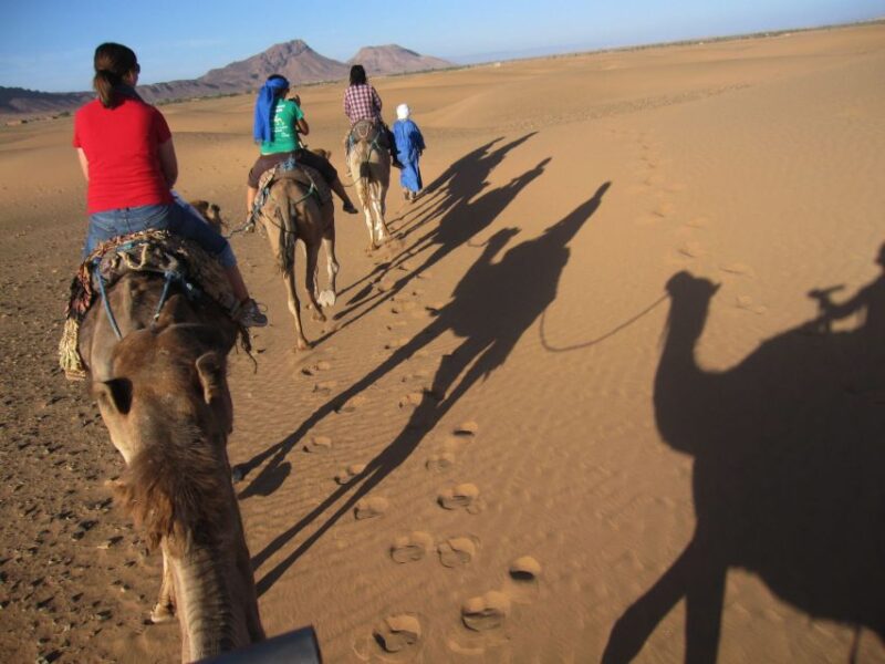 Agadir: Desert Sahara Safari 4x4 Tour With Lunch - Itinerary Highlights
