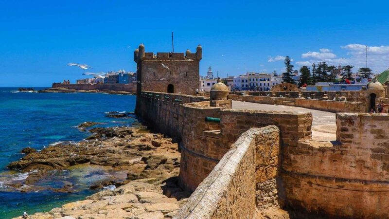 Agadir: Essaouira Guided Day Trip - Key Points